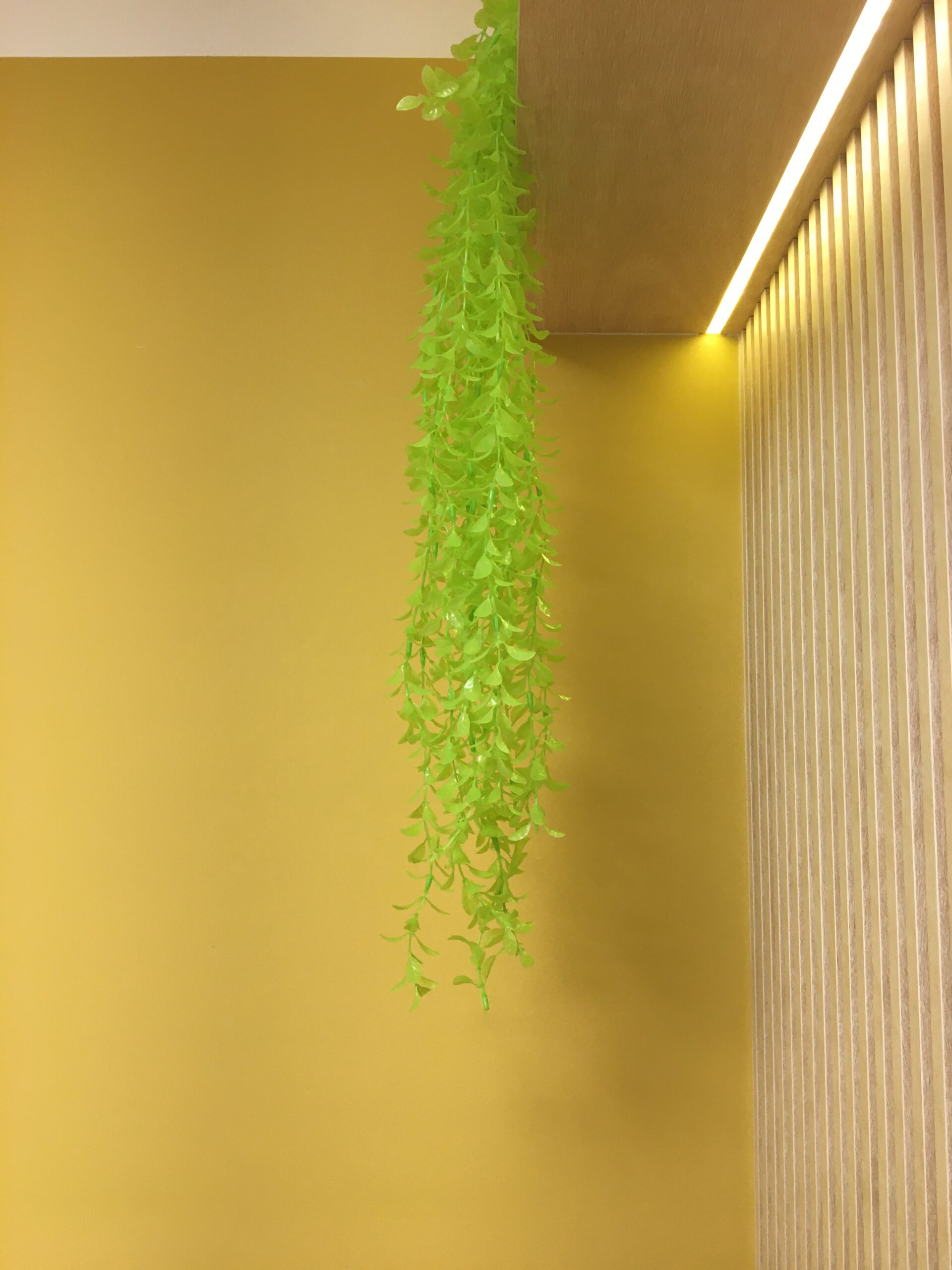 Bem Leve Design de Interiores | COMERCIAIS | Consultório Psico Gabriela Kunz - 025